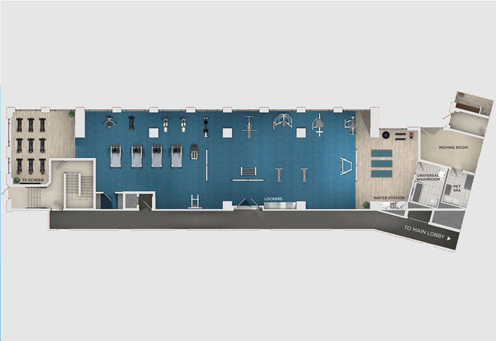 Fitness Amenities, 293 The Kingsway Condos