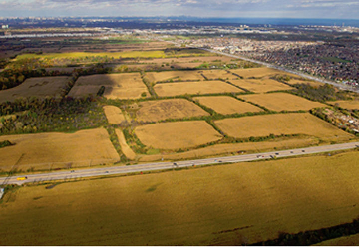 Oakvillage Landscape