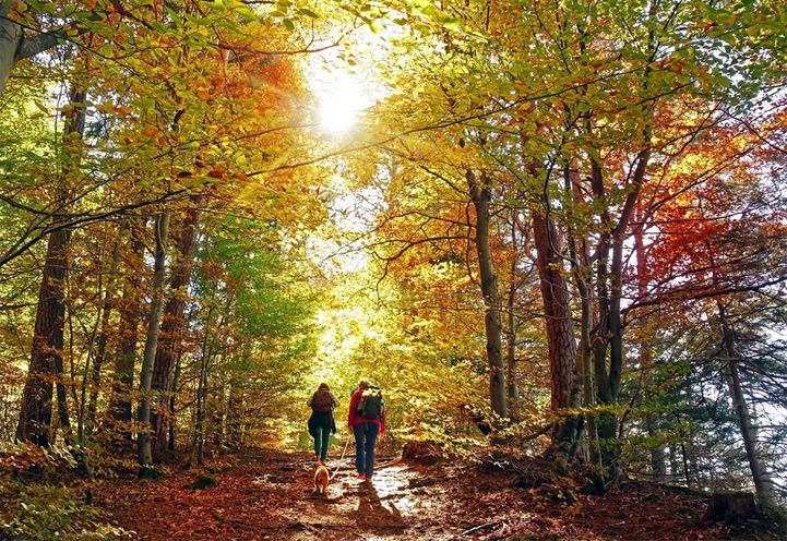 LakeVu Condos 2 - Hiking Trails Available to Residents