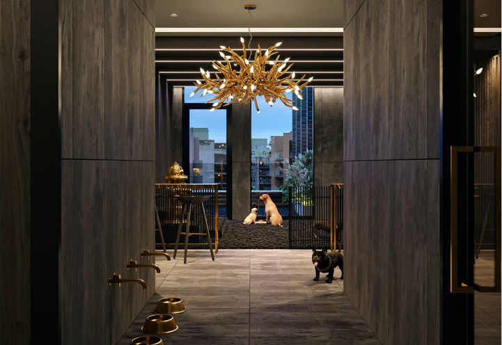 ALiAS Condos Pet Spa