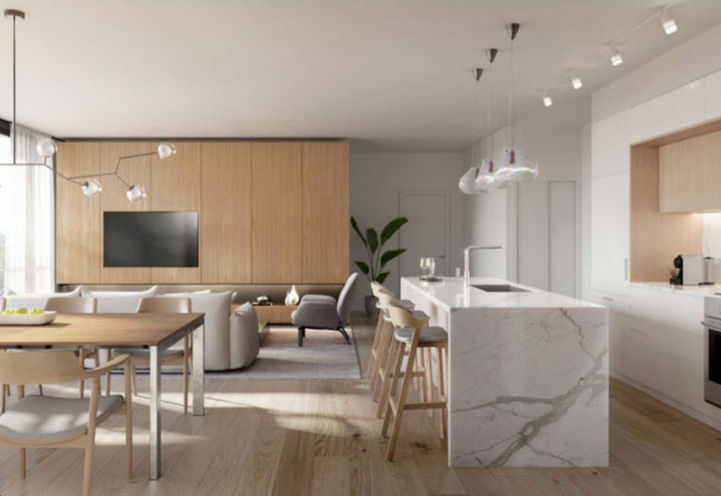 Living/Kitchen Suite Interior Features and Finishes at Anx Condos