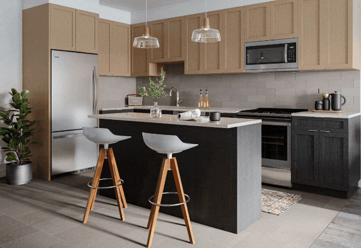 Anthem at The Metalworks Condos Kitchen