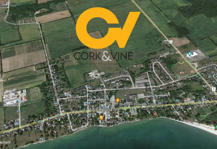 Cork & Vine Satellite View of Project Location