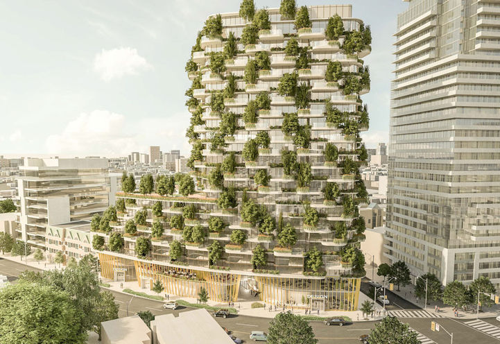 North Aerial View of  Designers Walk Condos Building Exterior