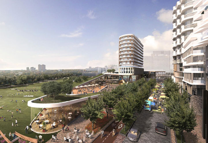 Preliminary Renderings