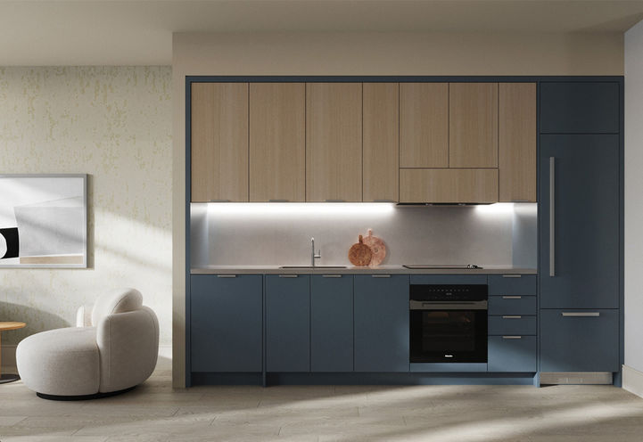 Lily at Crosstown Condos Kitchen Dark Finishes