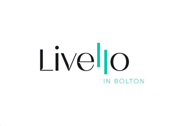 Livello Towns Project Logo