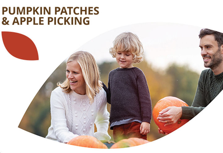 Midhurst Valley Homes - Pumpkin Patches and Apple Picking