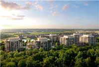 Mile and Creek Condos 6