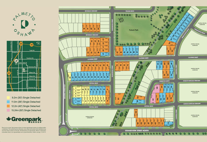 Palmetto Homes Aerial View of Site Plan