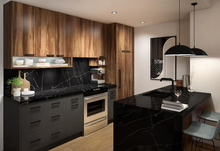 Radio Arts Condos Podium Suite Kitchen