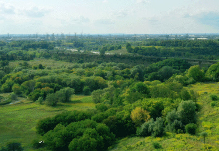 Ravine Views from the Suites at SXSW Condos