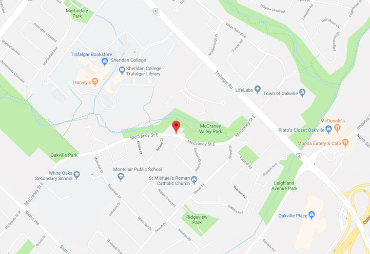 Future Location of Synergy Condos by Branthaven Homes