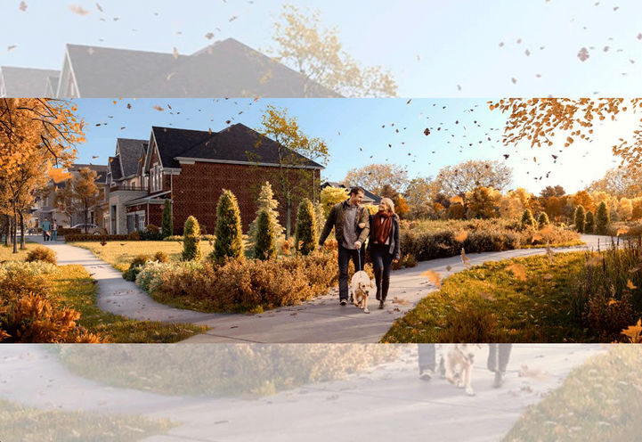 The Heights of Harmony View of Neighbourhood in the Fall