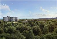 The Narrative Condos