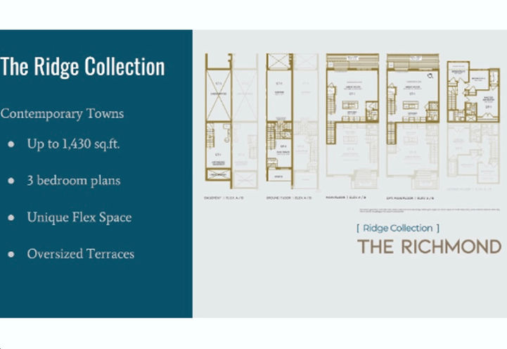 Twelve Oaks Towns Sample Floor Plan Details for The Ridge Collection