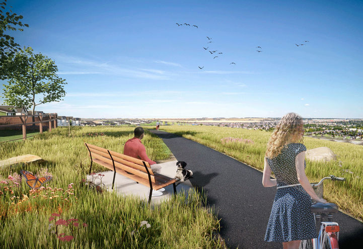 Wildflower Homes Calgary View of Park